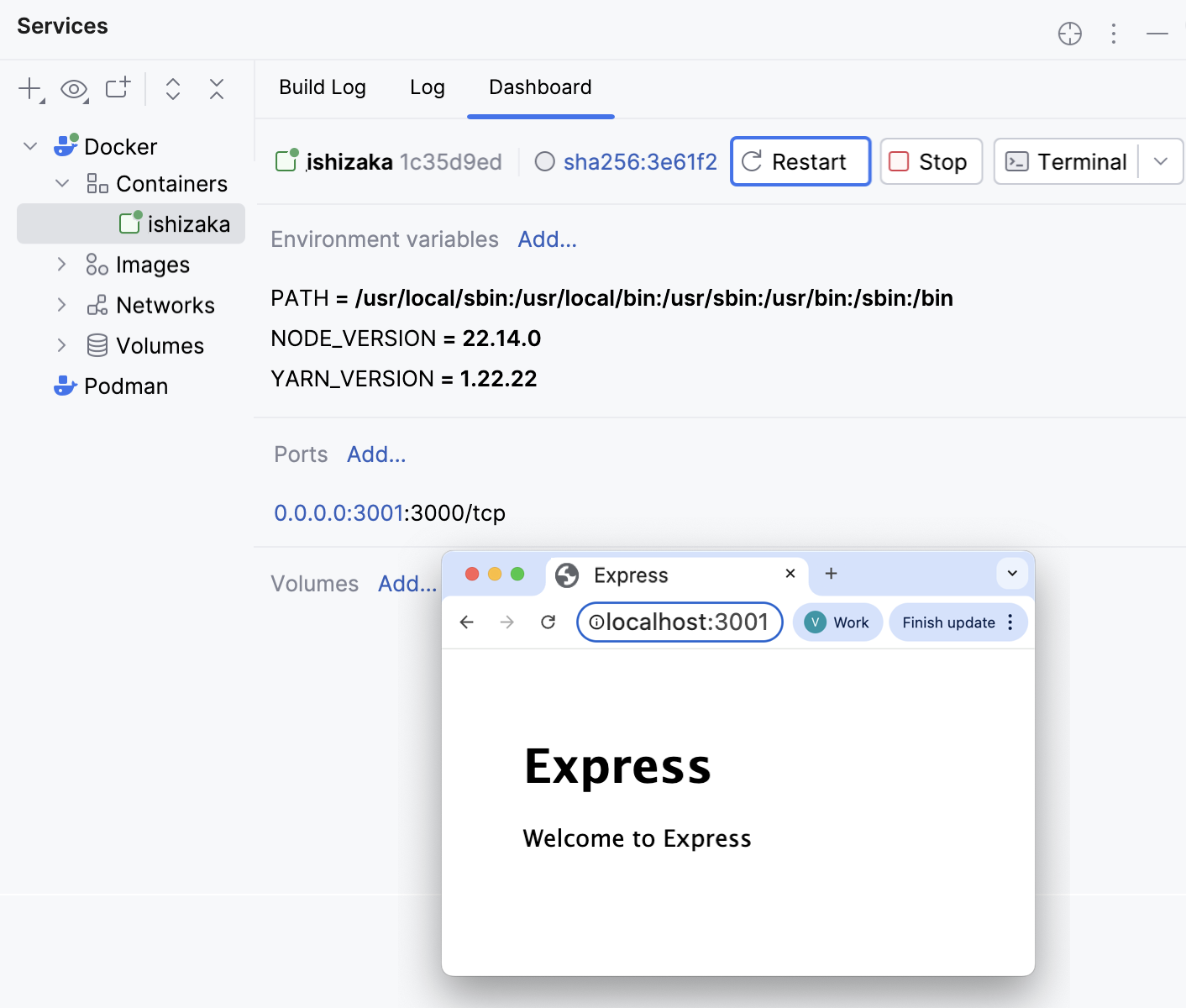 Ports bound, the application is opened in the browser at 3001