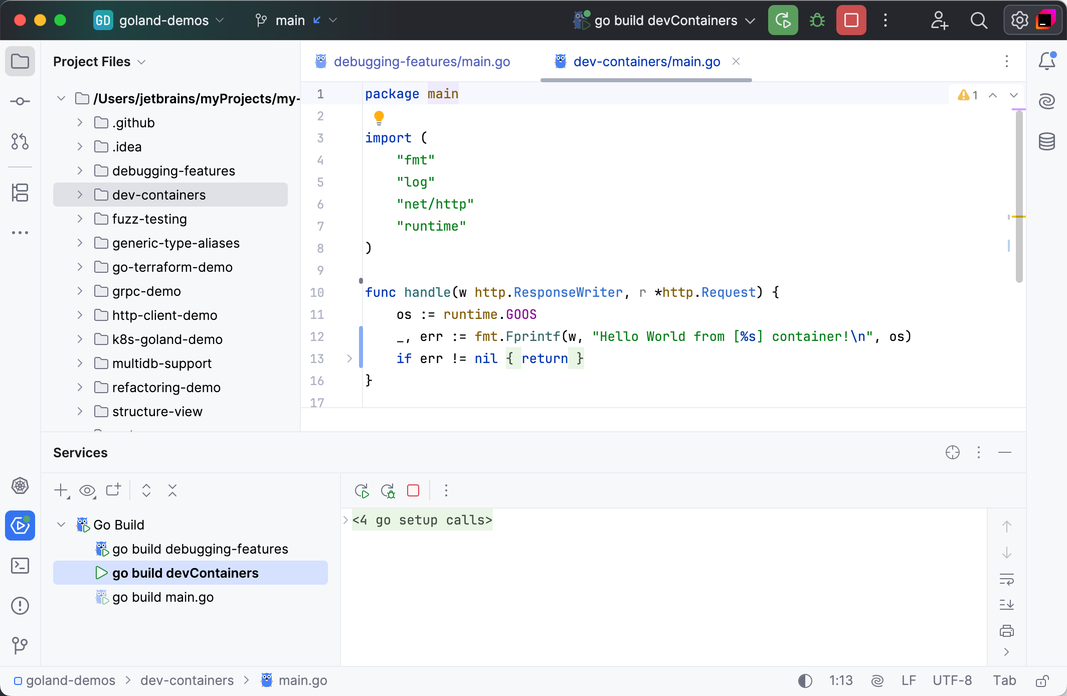 GoLand project overview