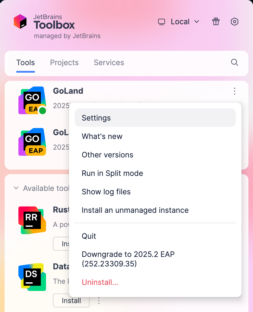 Opening IDE instance settings in Toolbox App Opening IDE instance settings in Toolbox App
