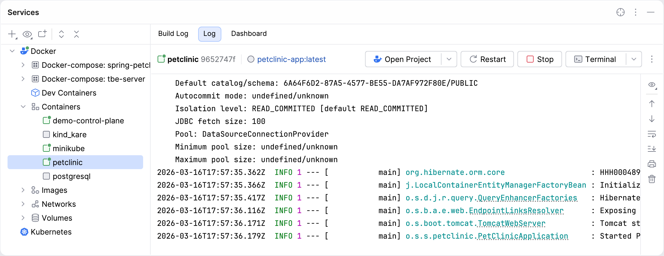 Push the log tab in the Services tool window Push the log tab in the Services tool window