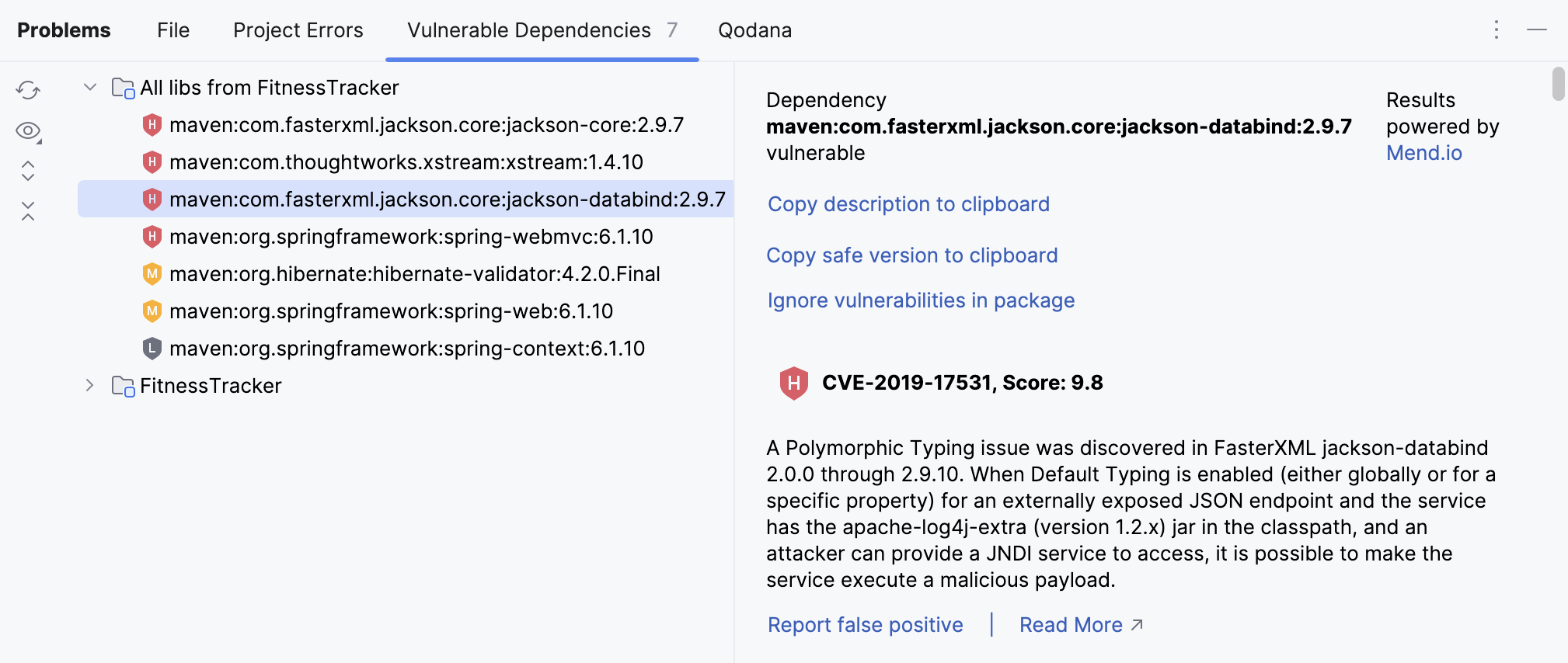 Vulnerable Dependencies