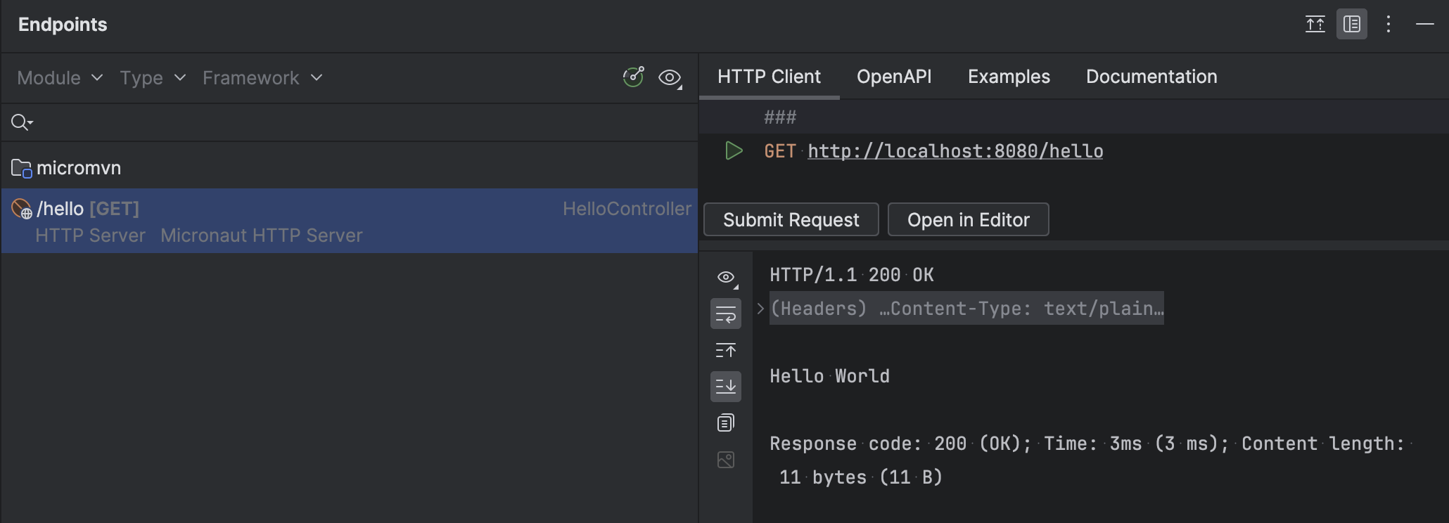 Micronaut | IntelliJ IDEA Documentation