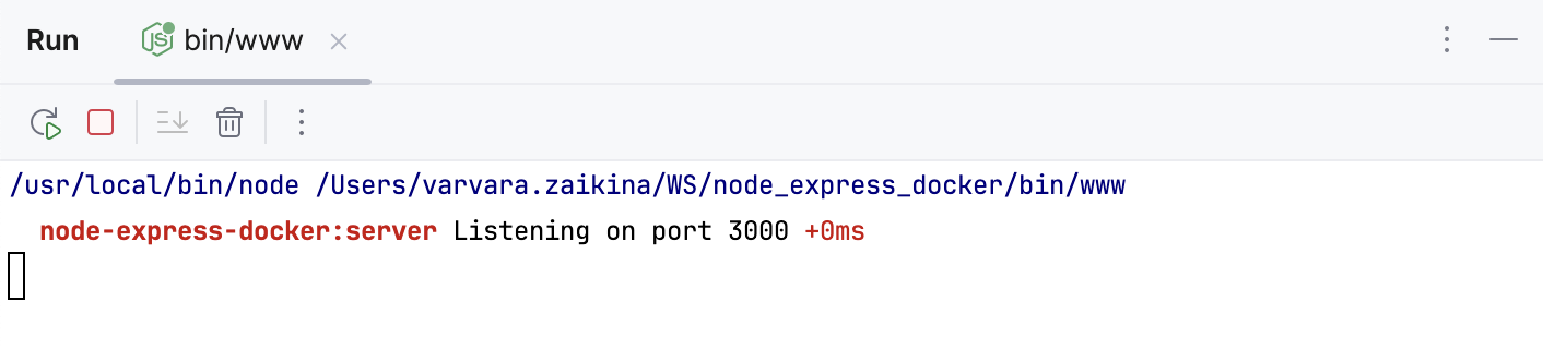 the Run tool window with the application output