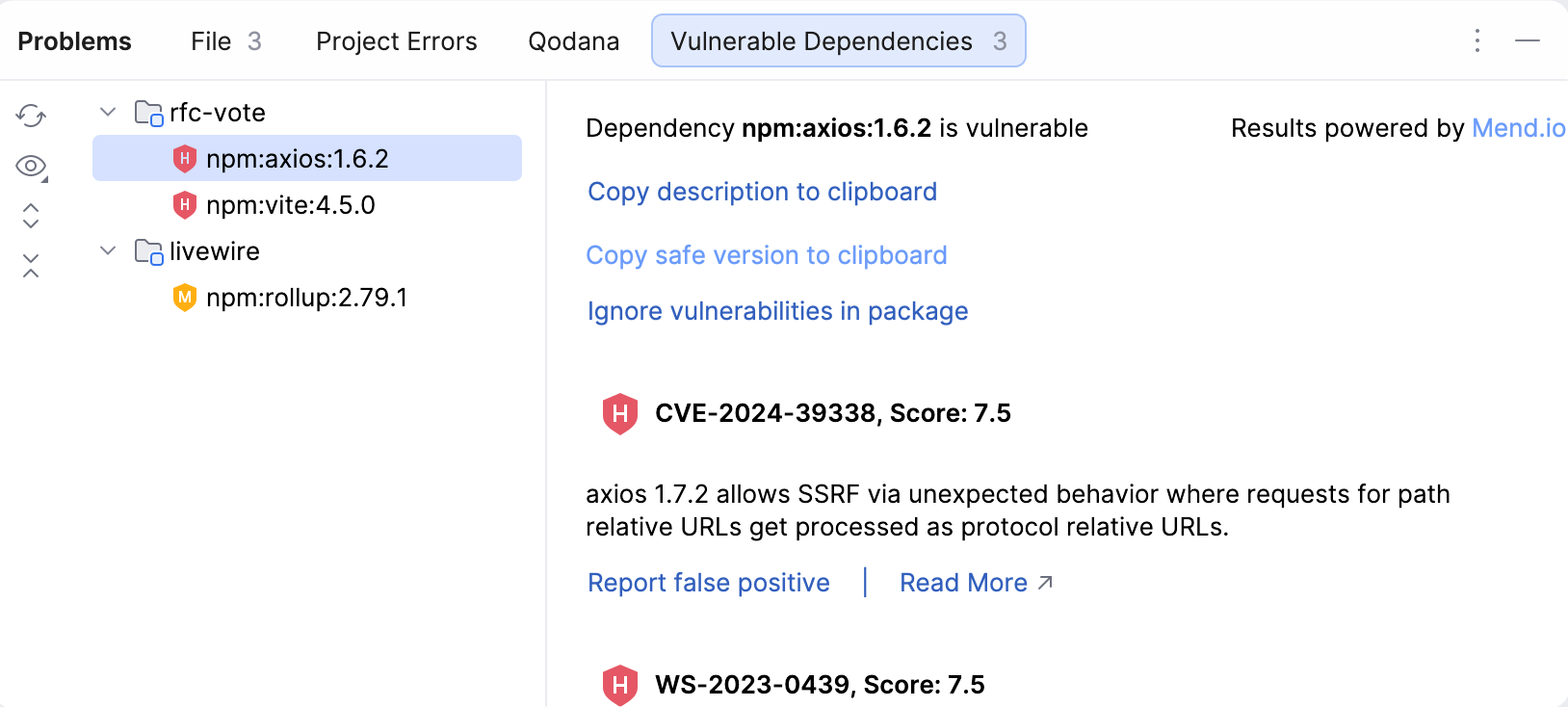 Vulnerable Dependencies