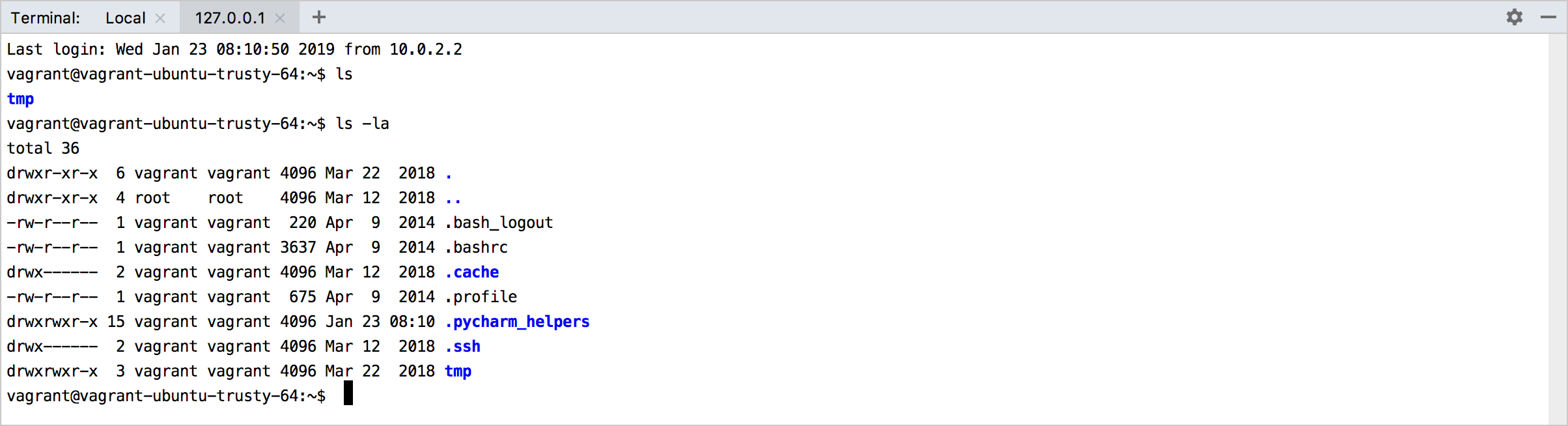 在终端中使用 Vagrant 在终端中使用 Vagrant