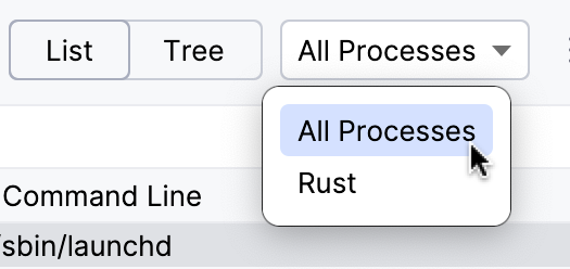 可附加的调试器列表