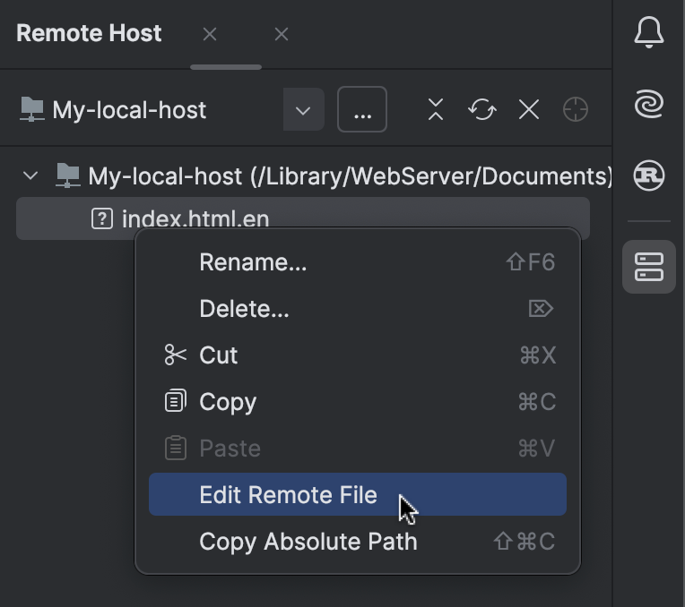 Edit individual files on remote hosts | RustRover Documentation