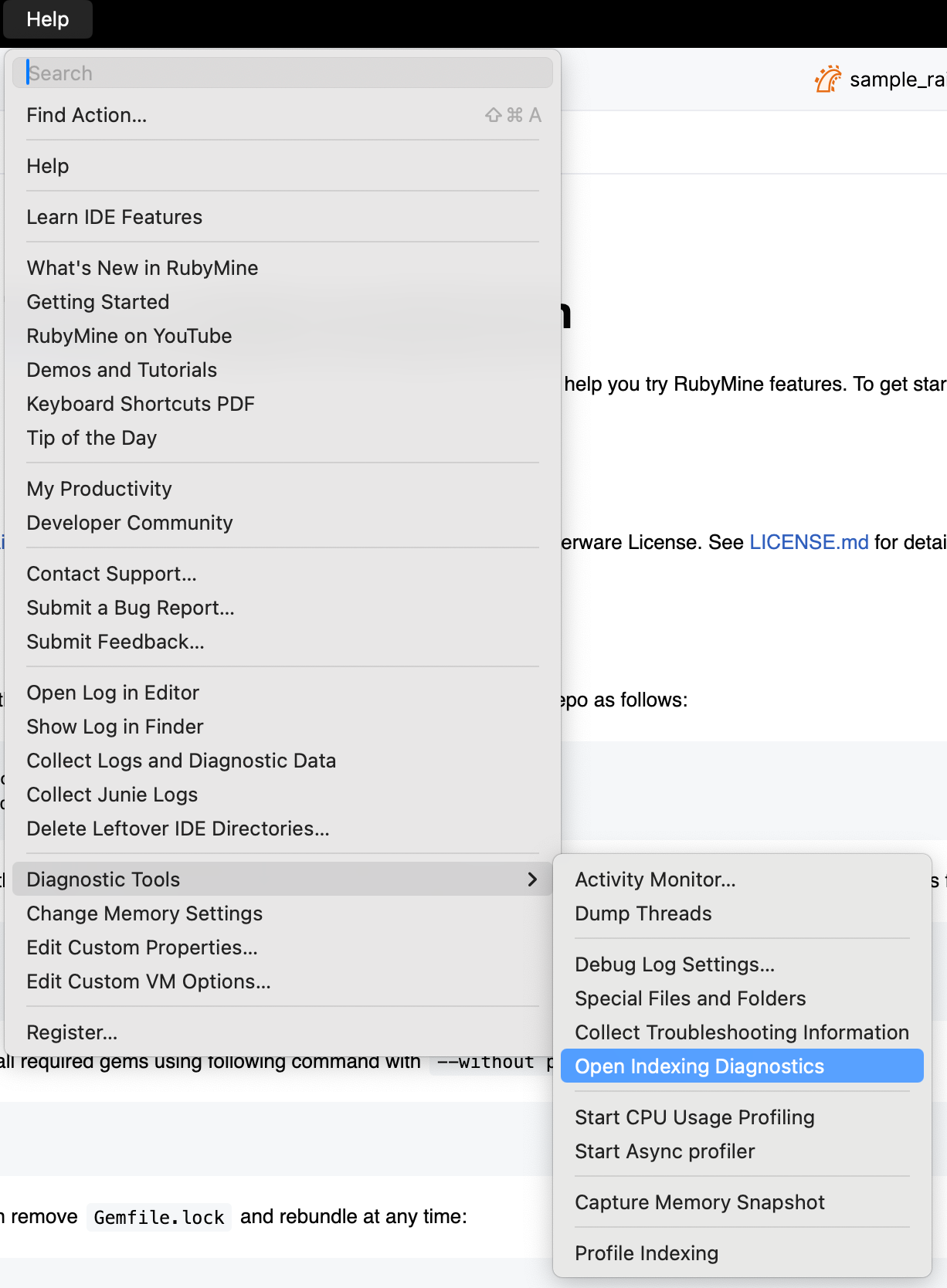 Opening indexing diagnostics
