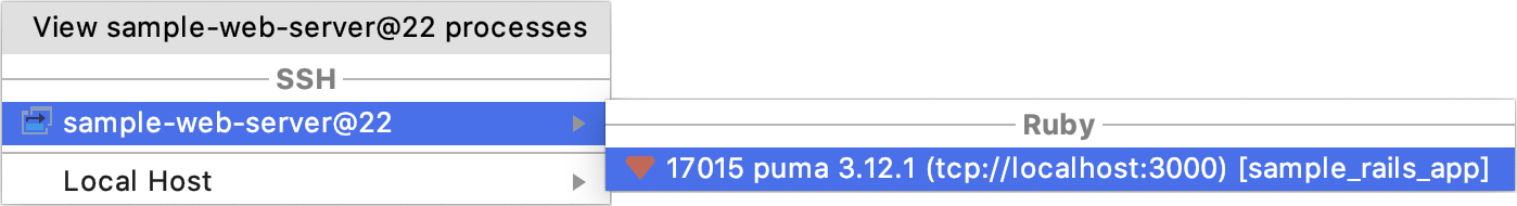 Attach to remote process Attach to remote process