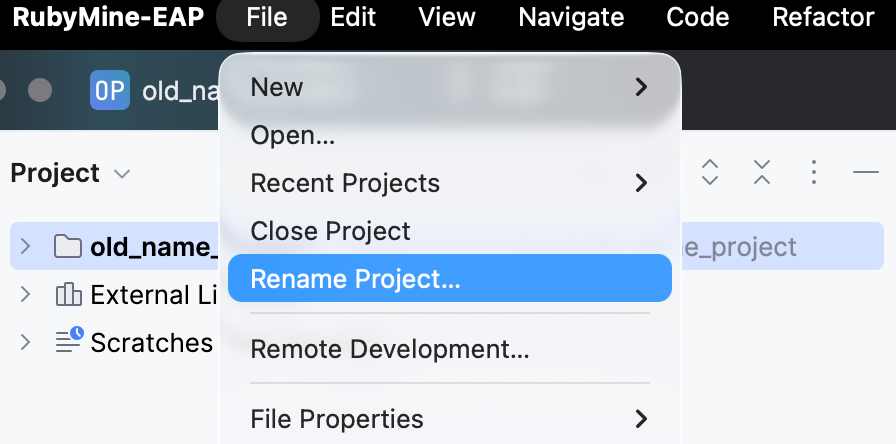 Selecting Rename Project from the main menu