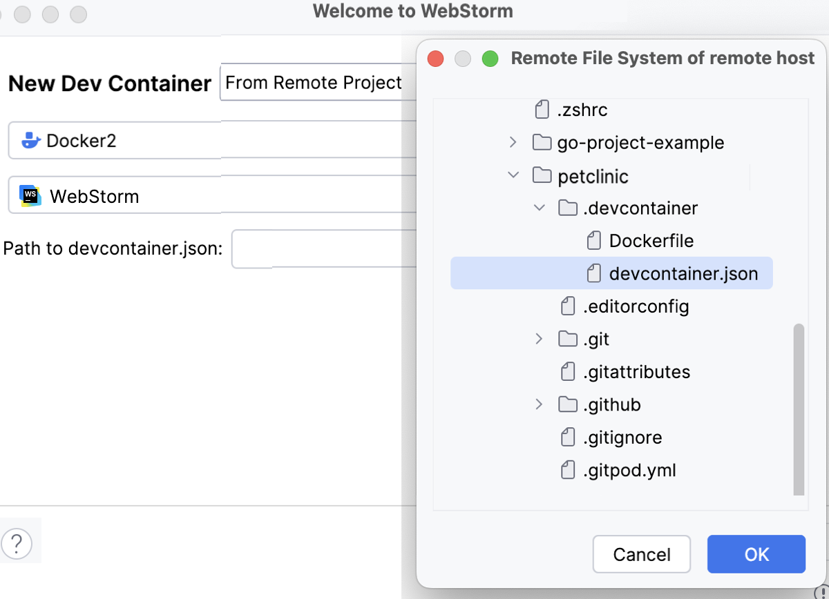 JSON file from a remote file system