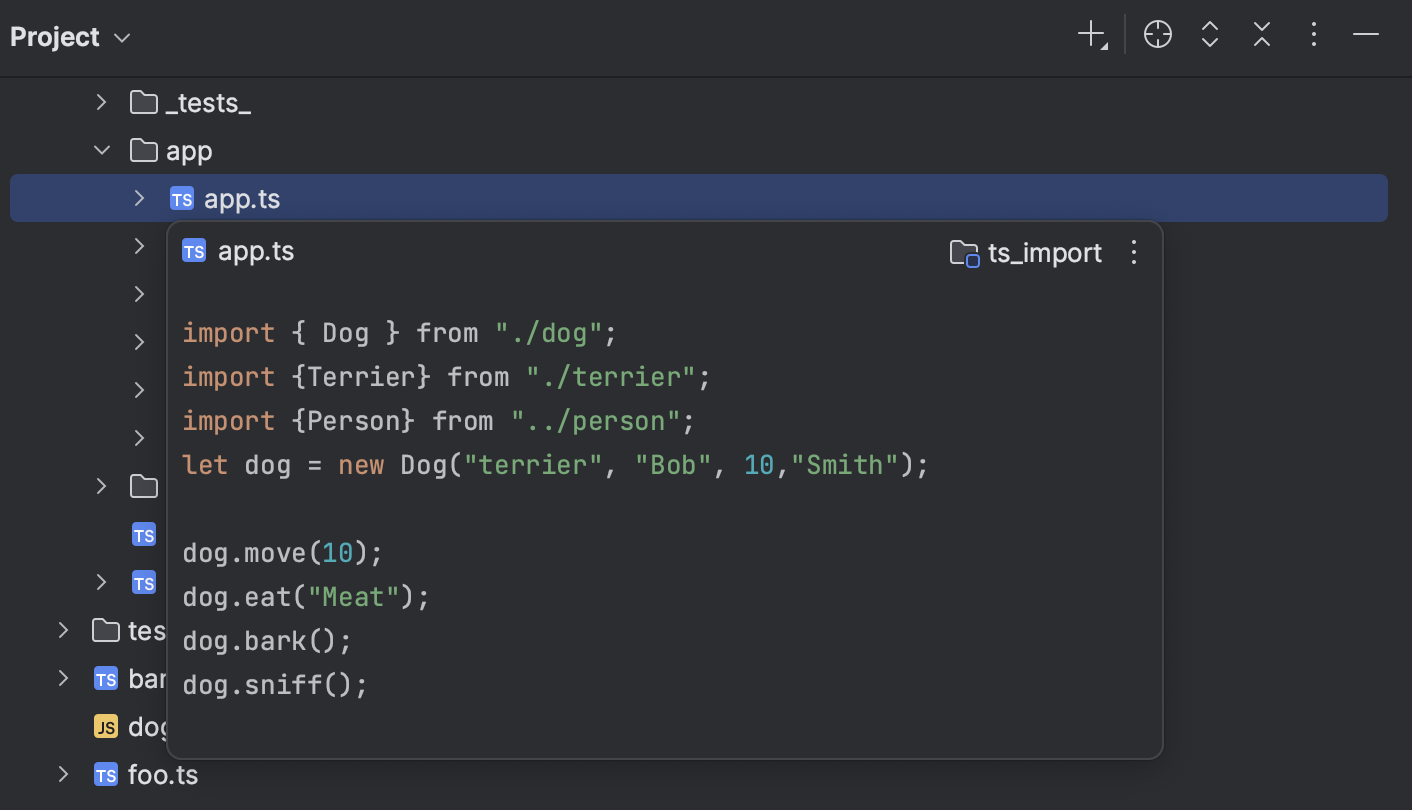 Project tool window | WebStorm Documentation