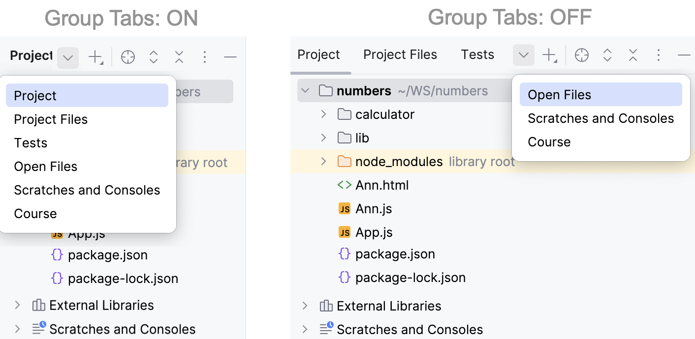 WebStorm: choosing a view in the Project tool window