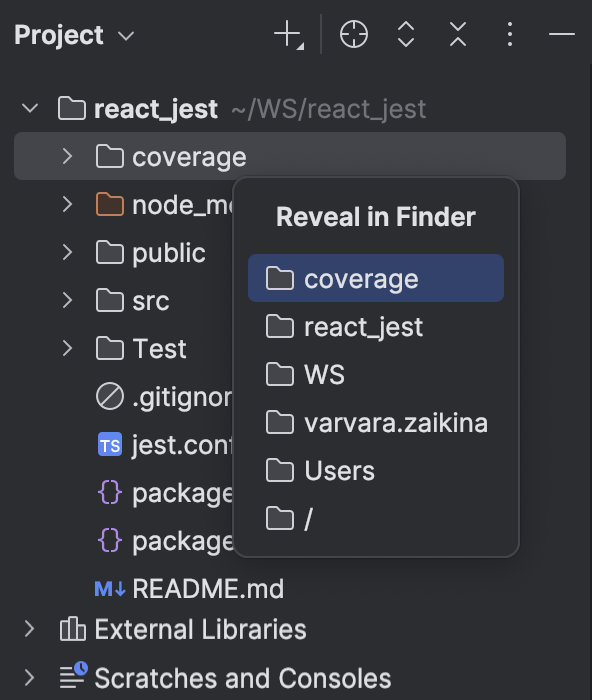 Project tool window | WebStorm Documentation