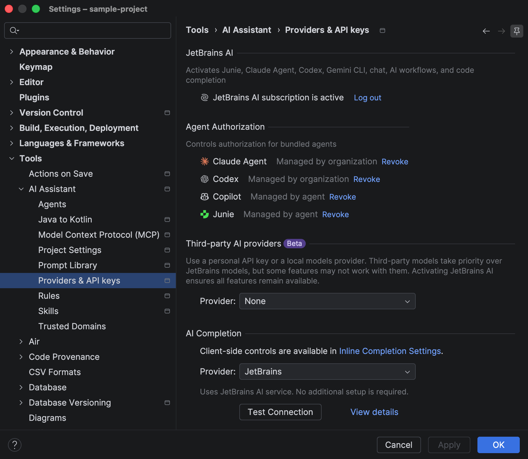 Providers & API keys | AI Assistant Documentation