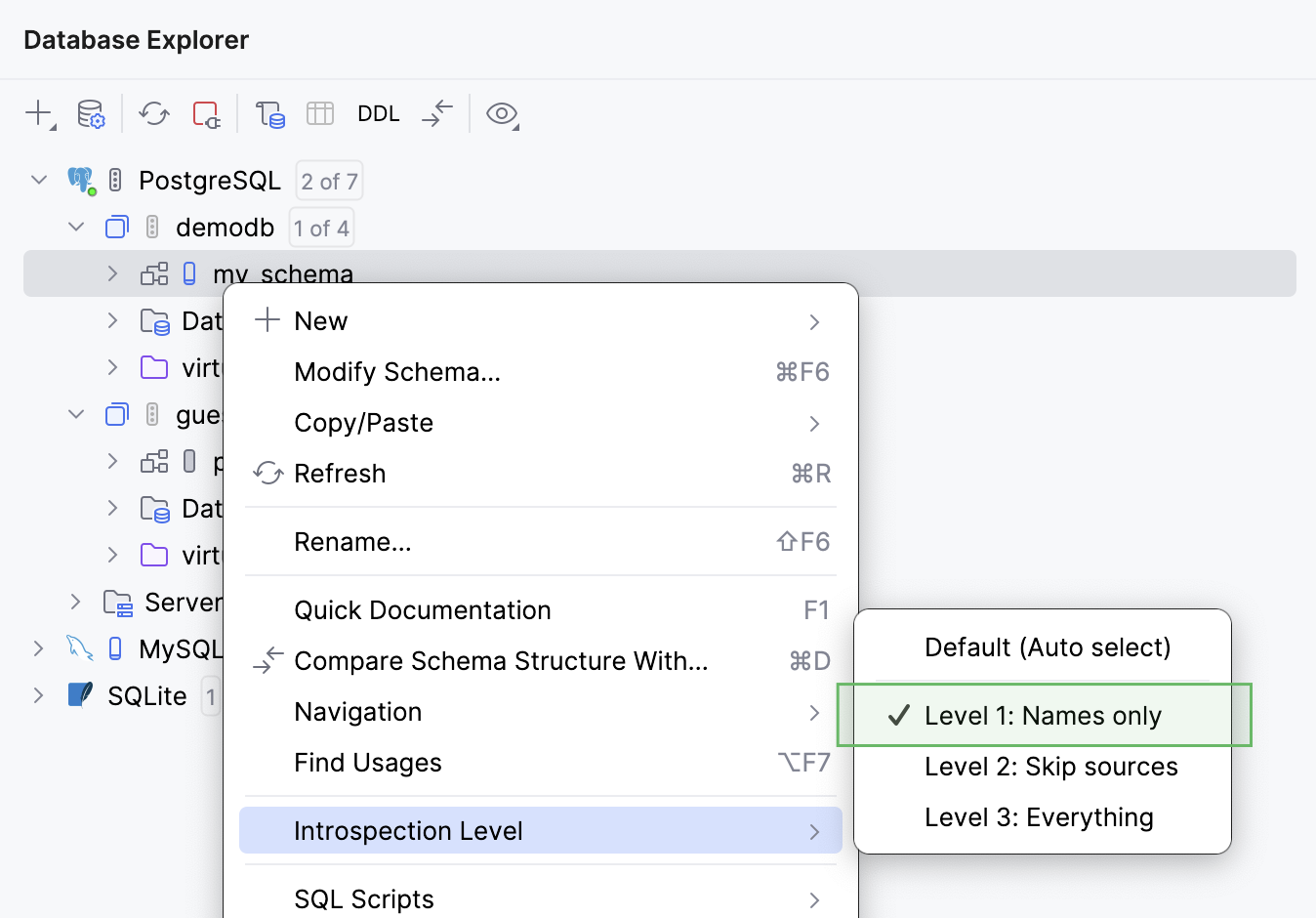 The introspection level selected currently for a database schema The introspection level selected currently for a database schema