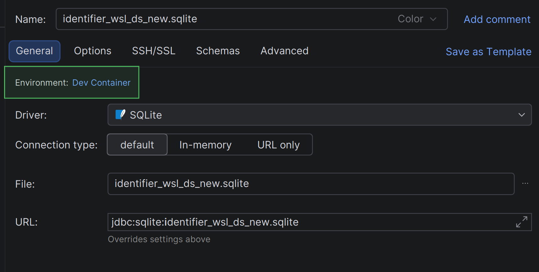 The Environment data source setting for a data source in WSL