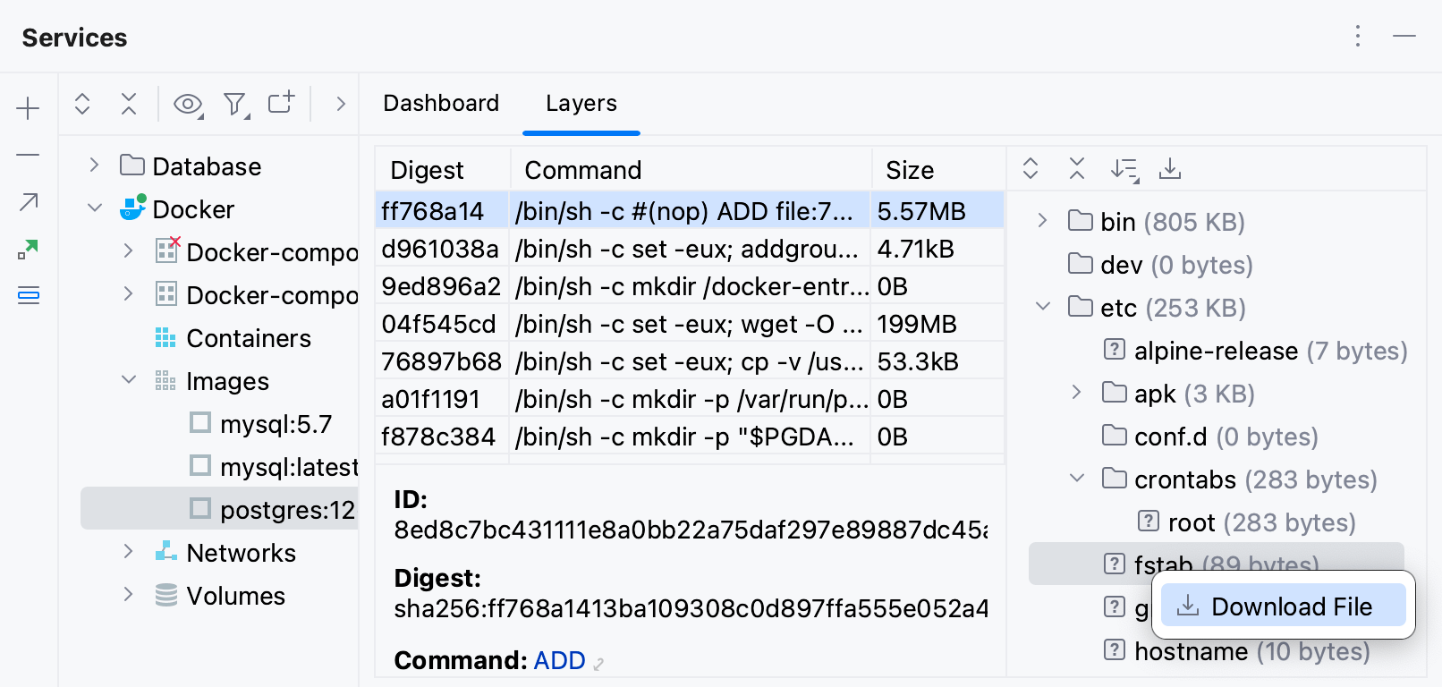 Open a file from a Docker layer Open a file from a Docker layer