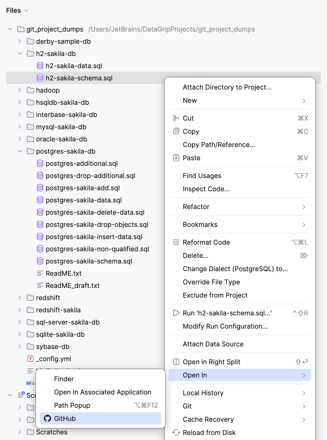 Opening the GitHub version of the file Opening the GitHub version of the file