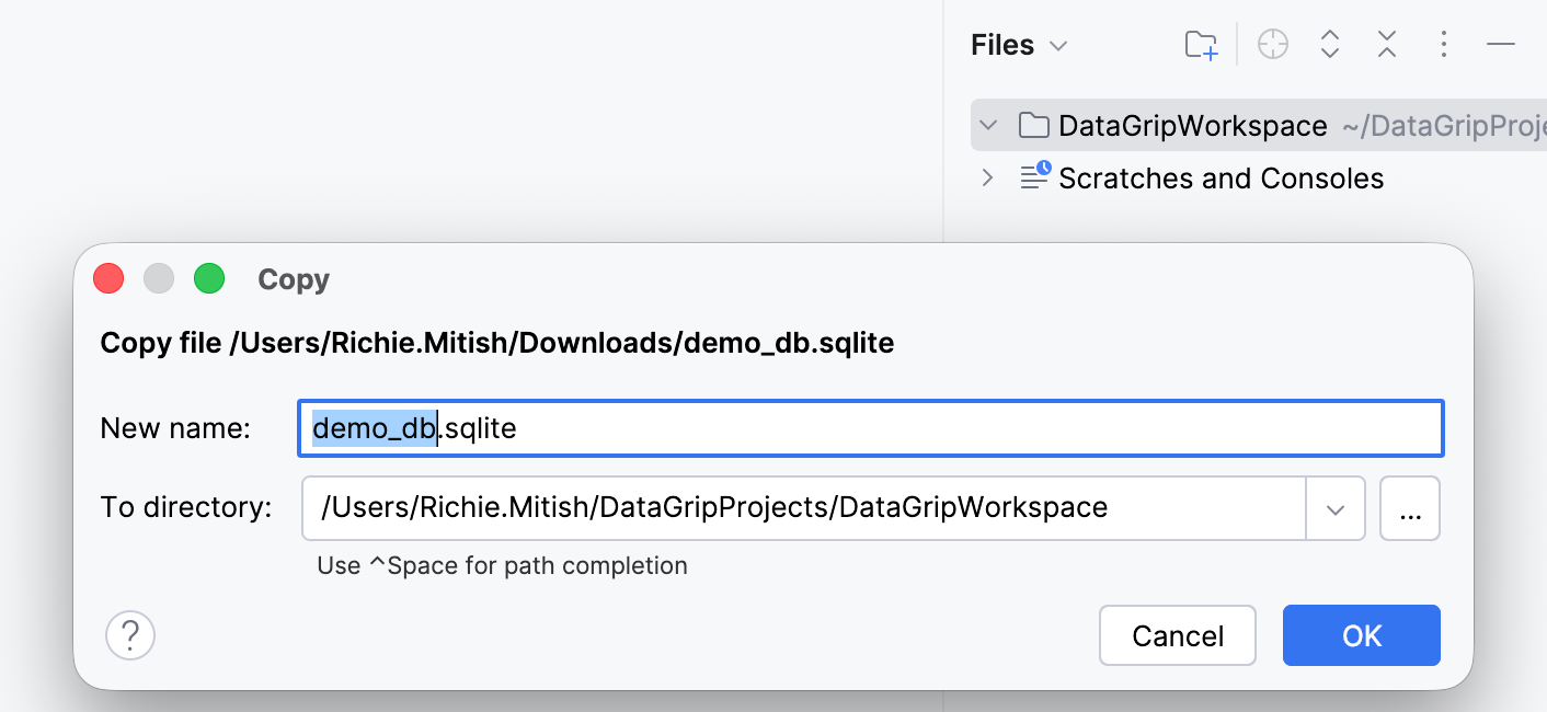 Paste the database file to the Files tool window