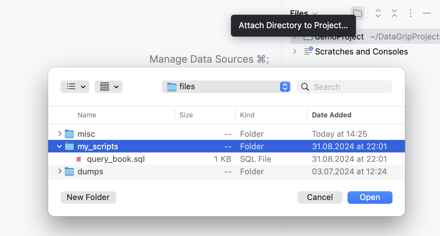 Attaching the directory with the SQL file to the DataGrip project Attaching the directory with the SQL file to the DataGrip project