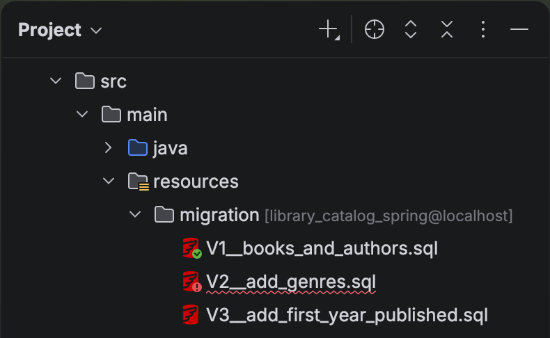 Flyway | IntelliJ IDEA 文档