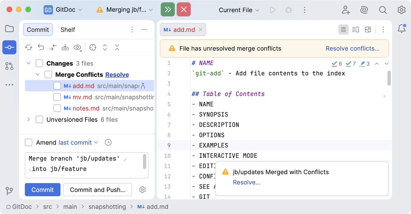 The Merge Conflicts node in the Local Changes view