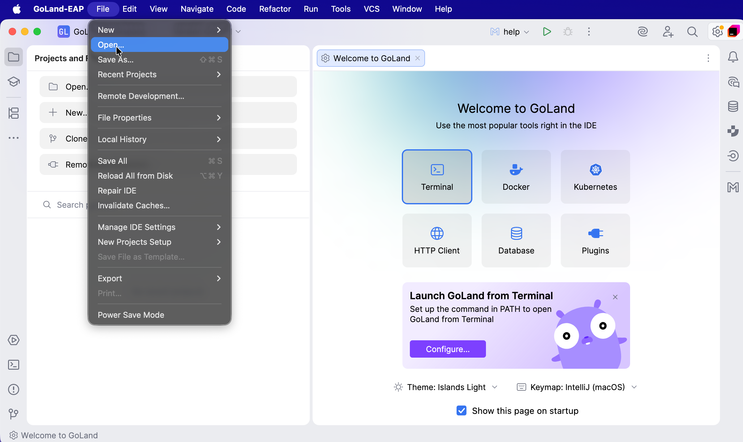 Open file dialog in GoLand Open file dialog in GoLand
