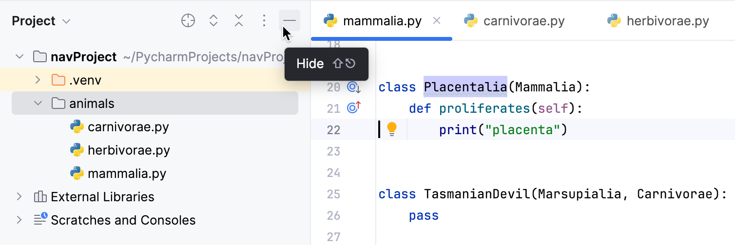 Hide the Project window Hide the Project window