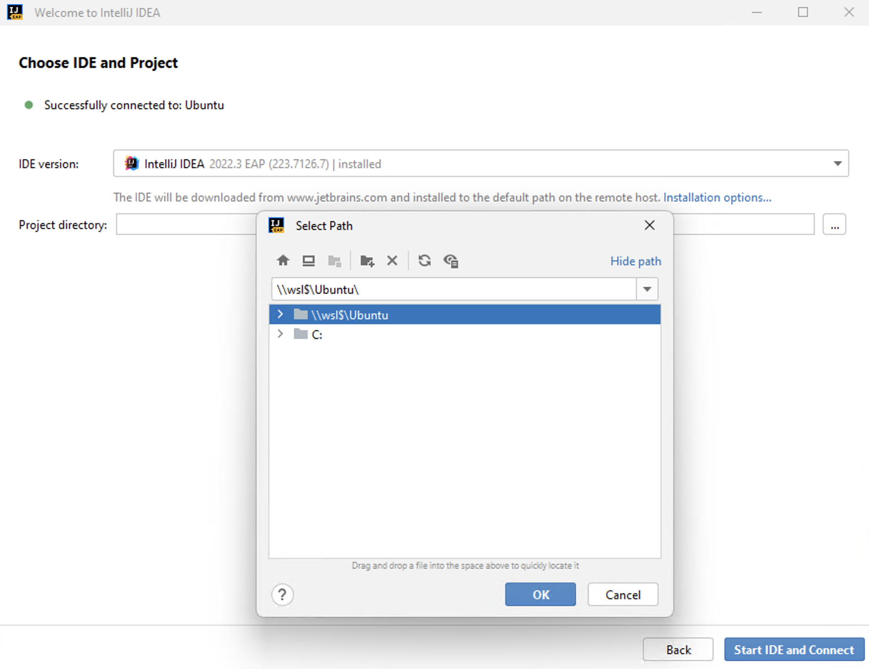Choose the IDE version and a project Choose the IDE version and a project