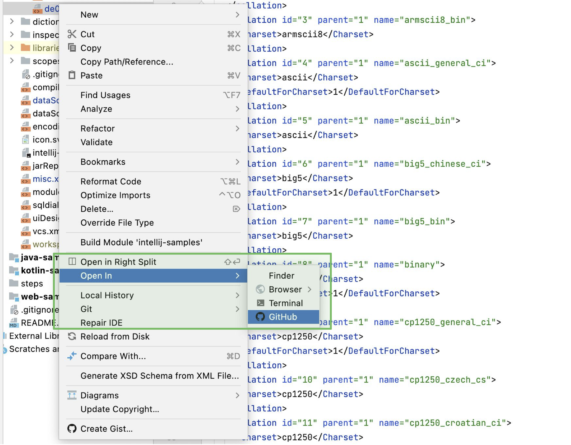 Opening the GitHub version of the file Opening the GitHub version of the file