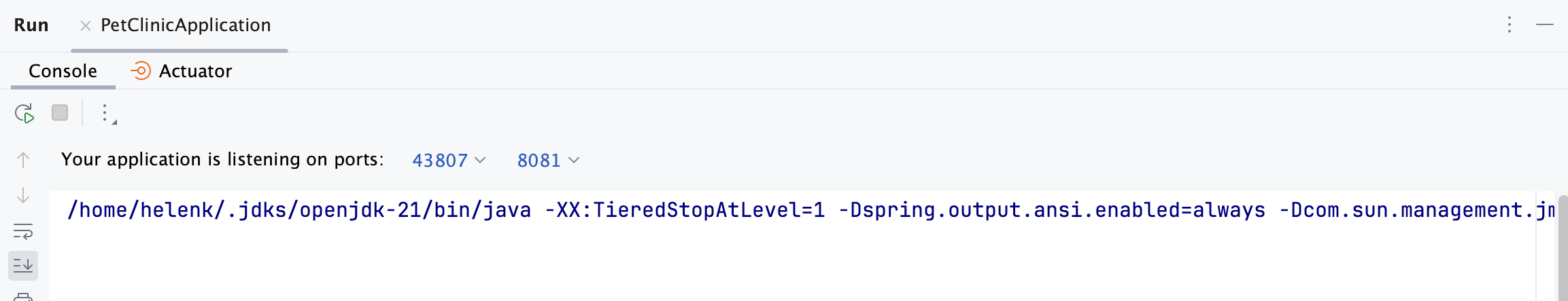 Application is listening on ports Application is listening on ports