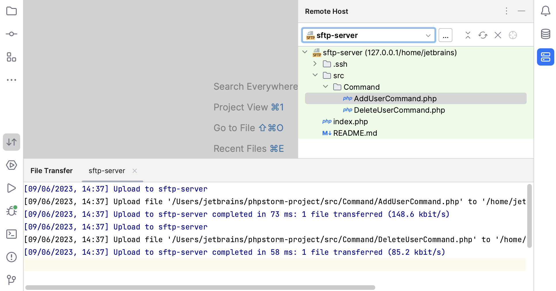 File Transfer tool window File Transfer tool window