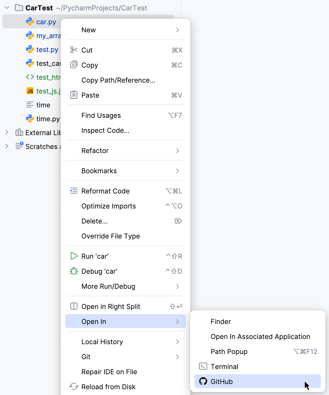 Opening the GitHub version of the file Opening the GitHub version of the file