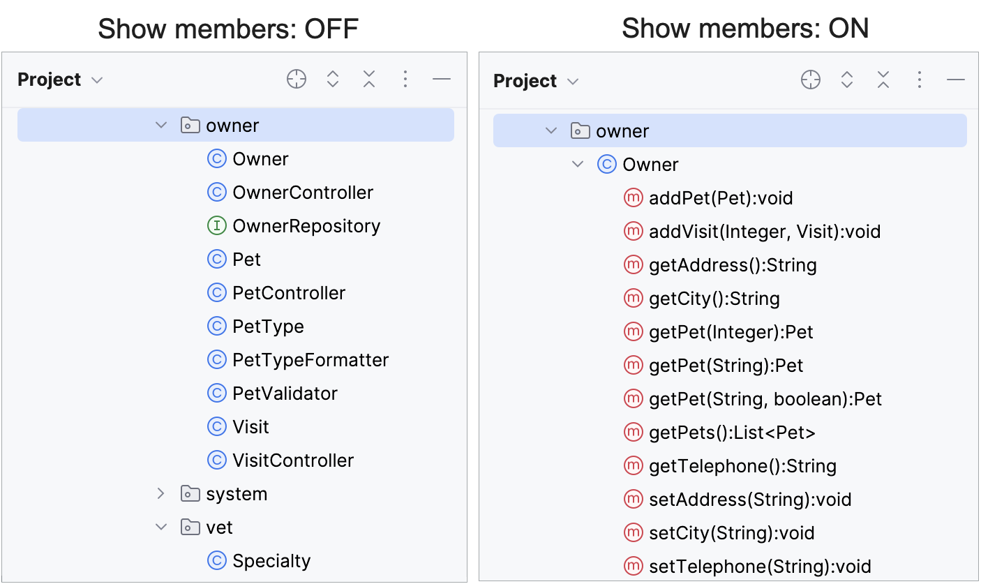 Show class members in the Project tool window Show class members in the Project tool window