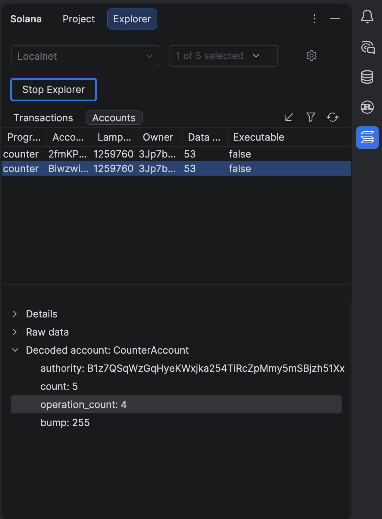 Accounts view showing account metadata, raw data, and IDL-decoded fields