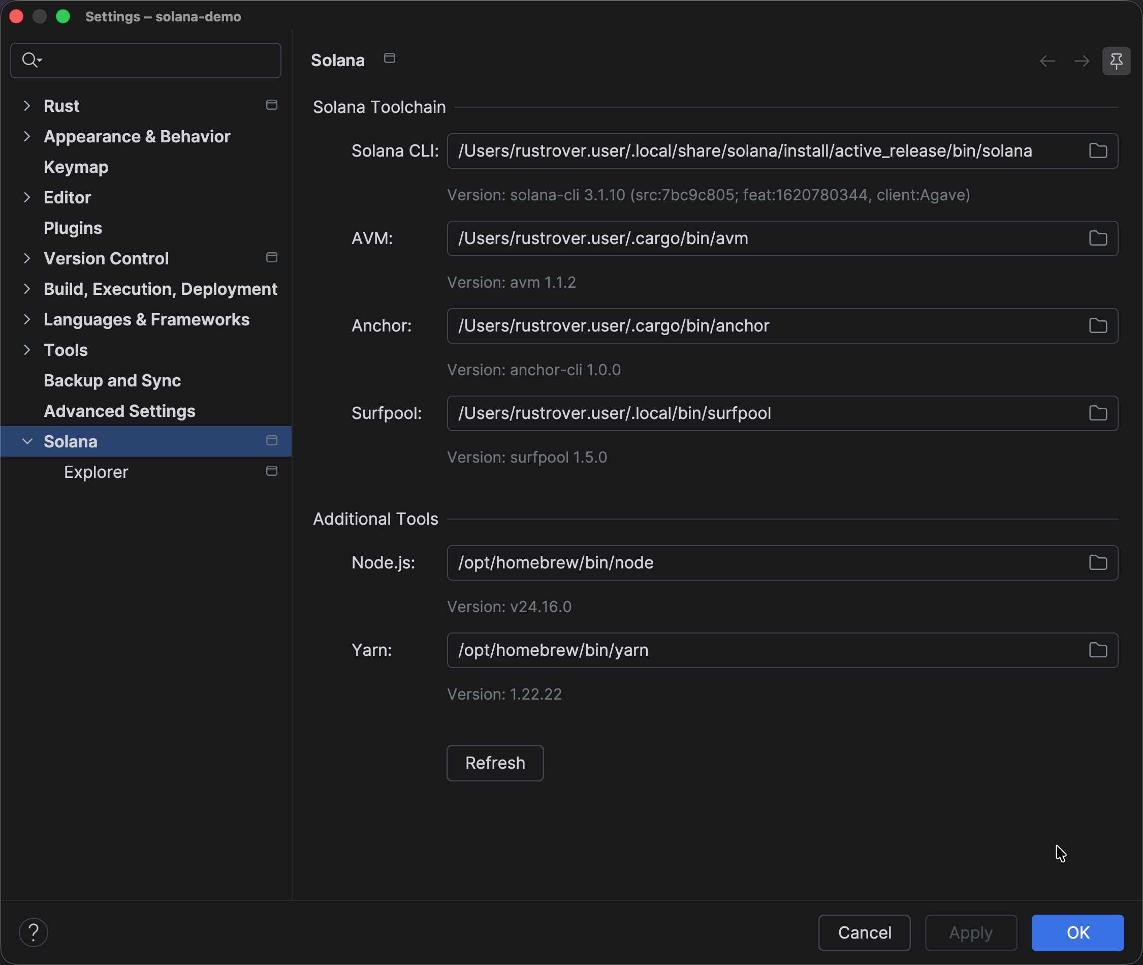 Solana settings showing configured tool paths and detected versions