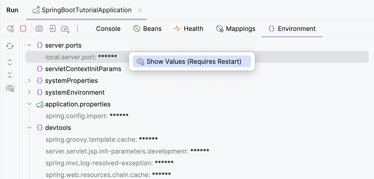 Spring Boot Environment tab
