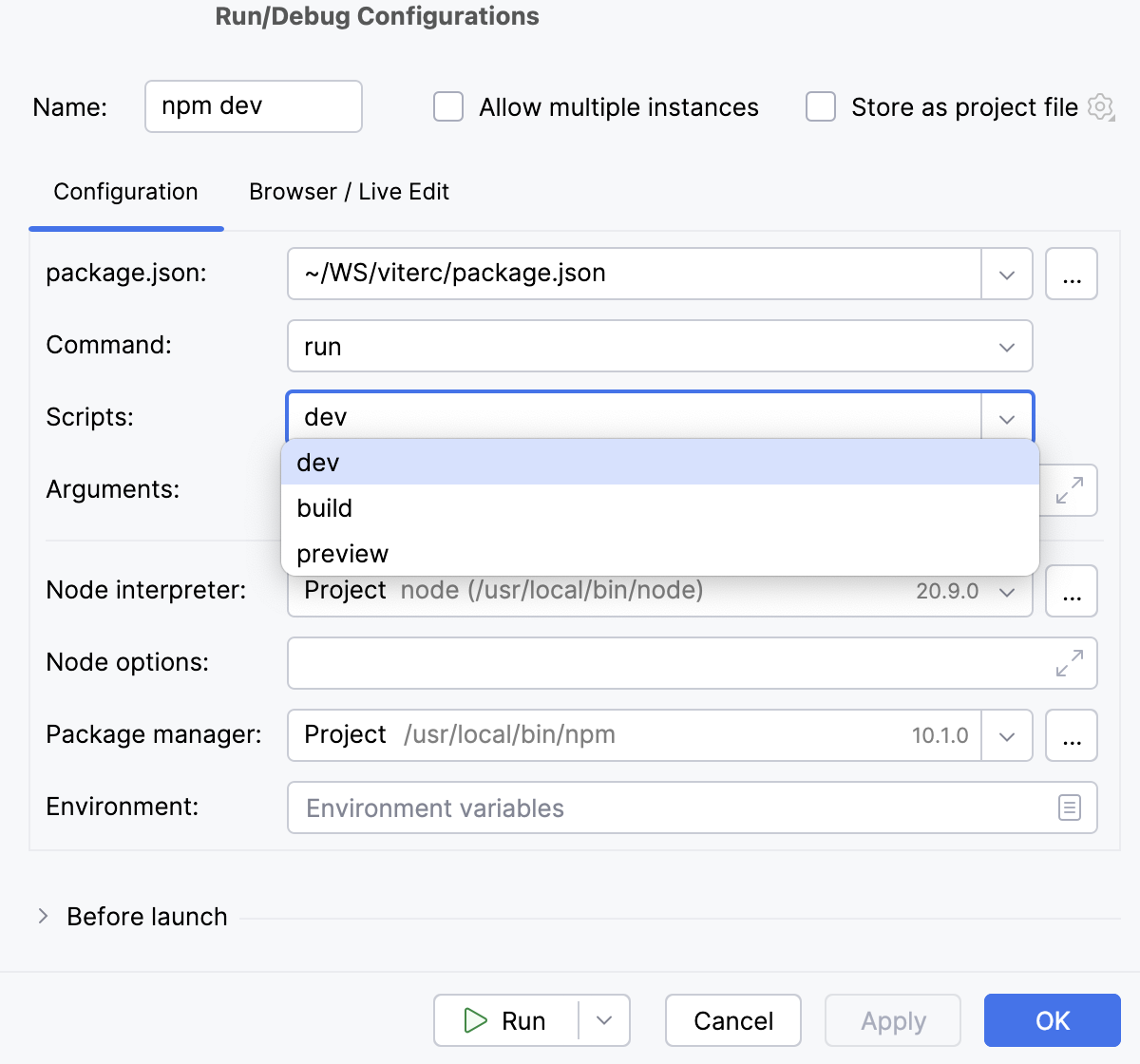 npm run/debug configuration npm run/debug configuration