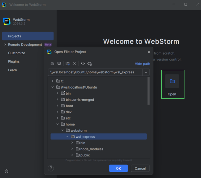 WSL | WebStorm Documentation