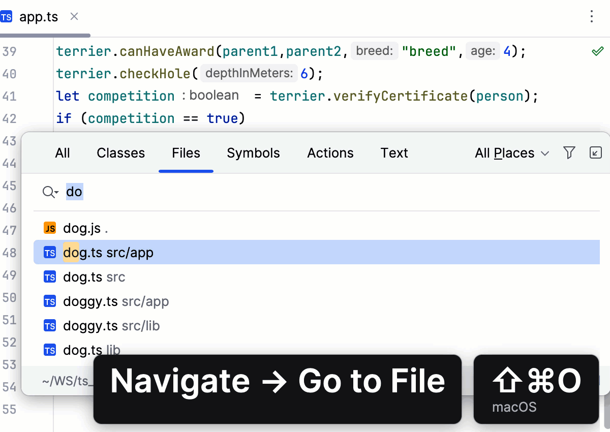 The Presentation Assistant displays the Find in Files command in the IDE The Presentation Assistant displays the Find in Files command in the IDE
