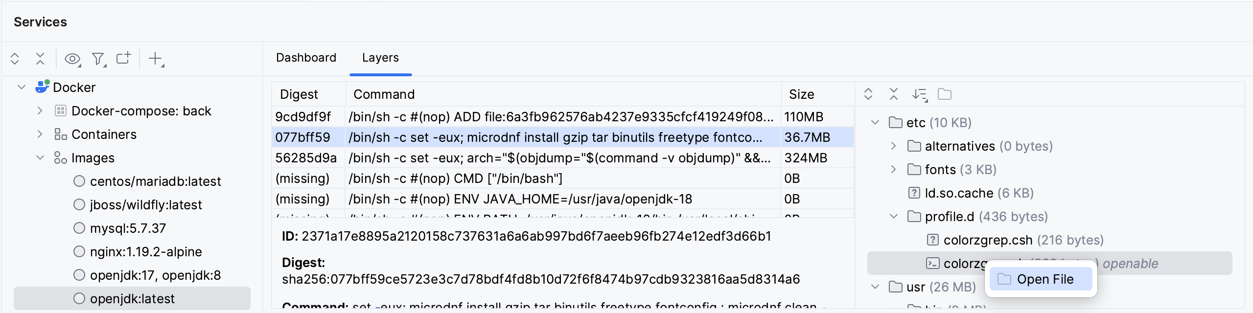 Open a file from a Docker layer