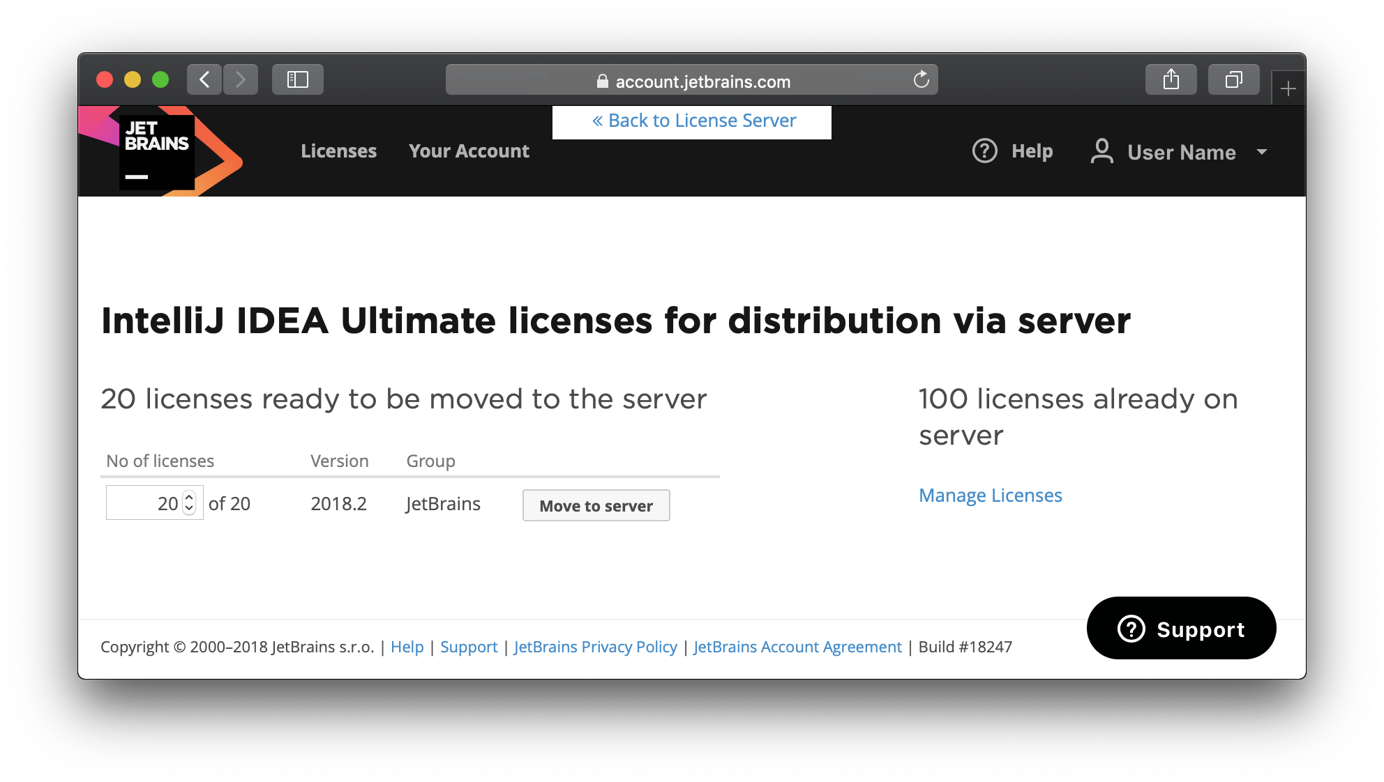 100 licenses available through the License Server