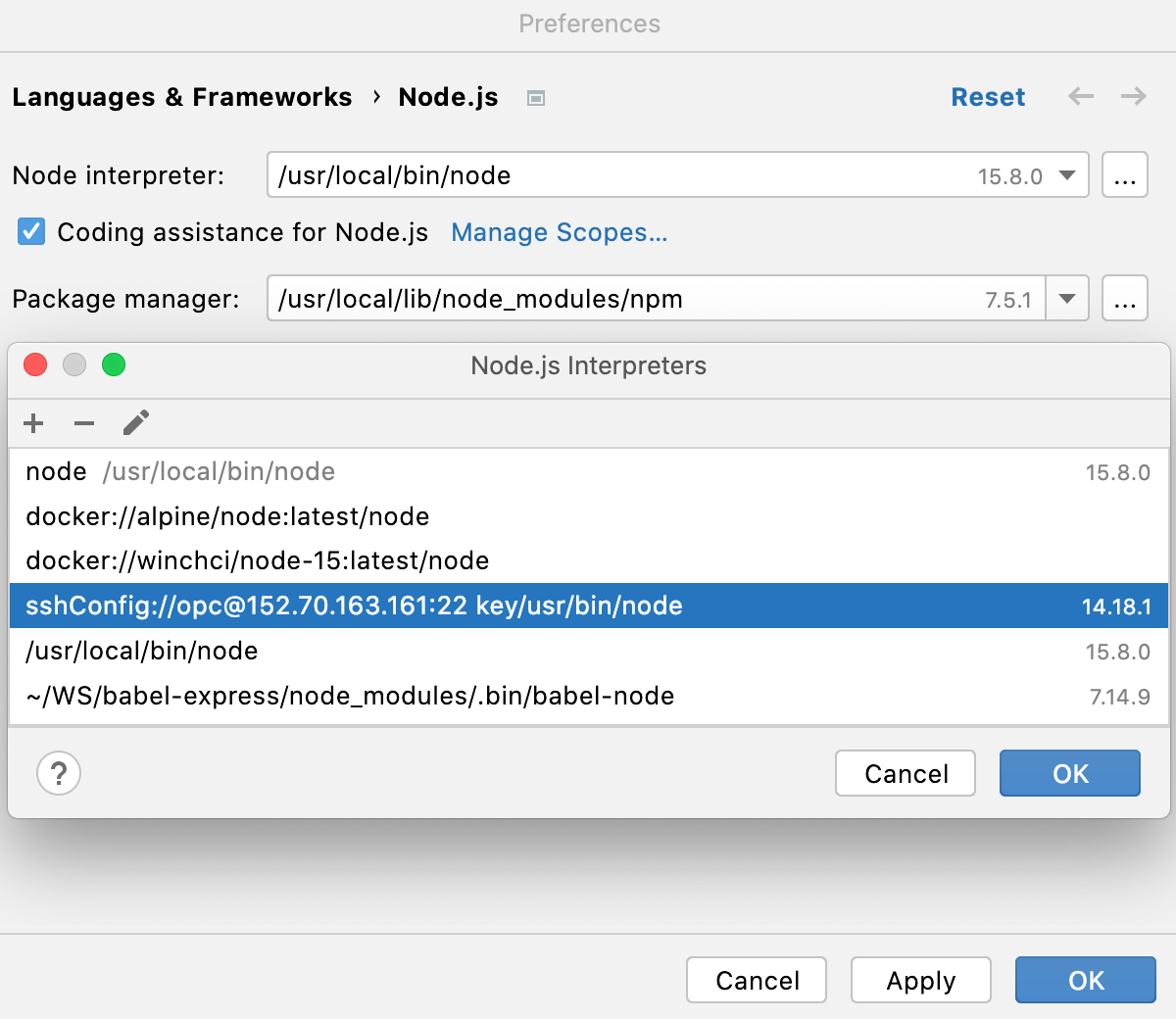Remote Interpreters dialog: the new Node.js interpreter via SSH added to the list