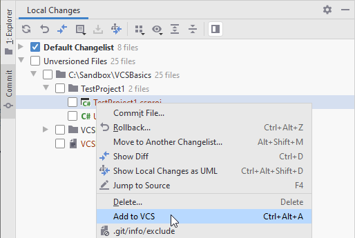 Adding a file to VCS