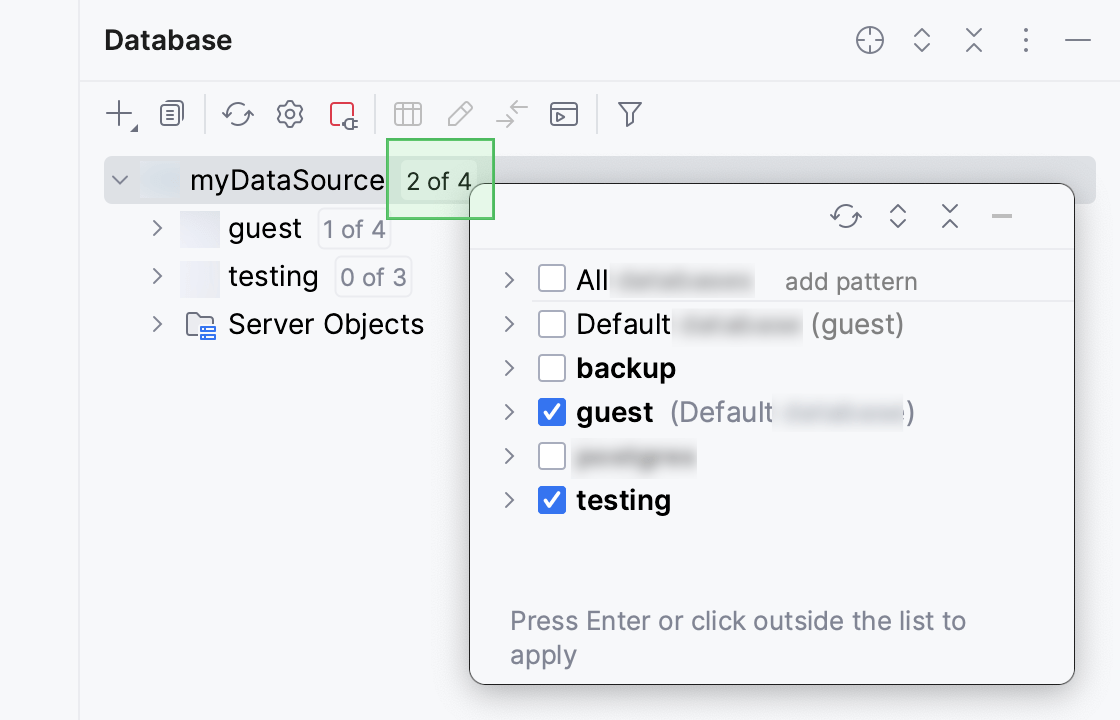 Select databases and schemas to introspect and display in the Database