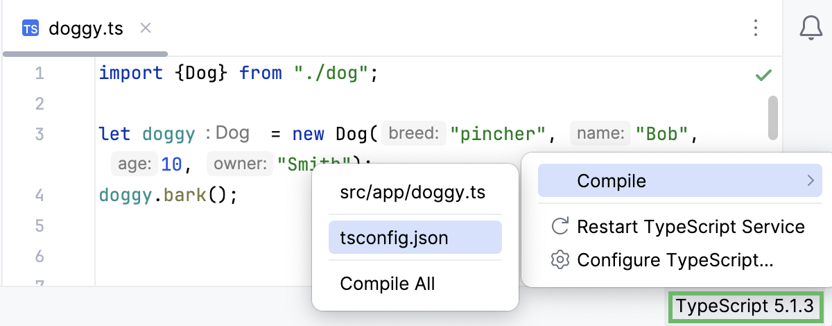 TypeScript widget: compile custom scope from tsconfig.json