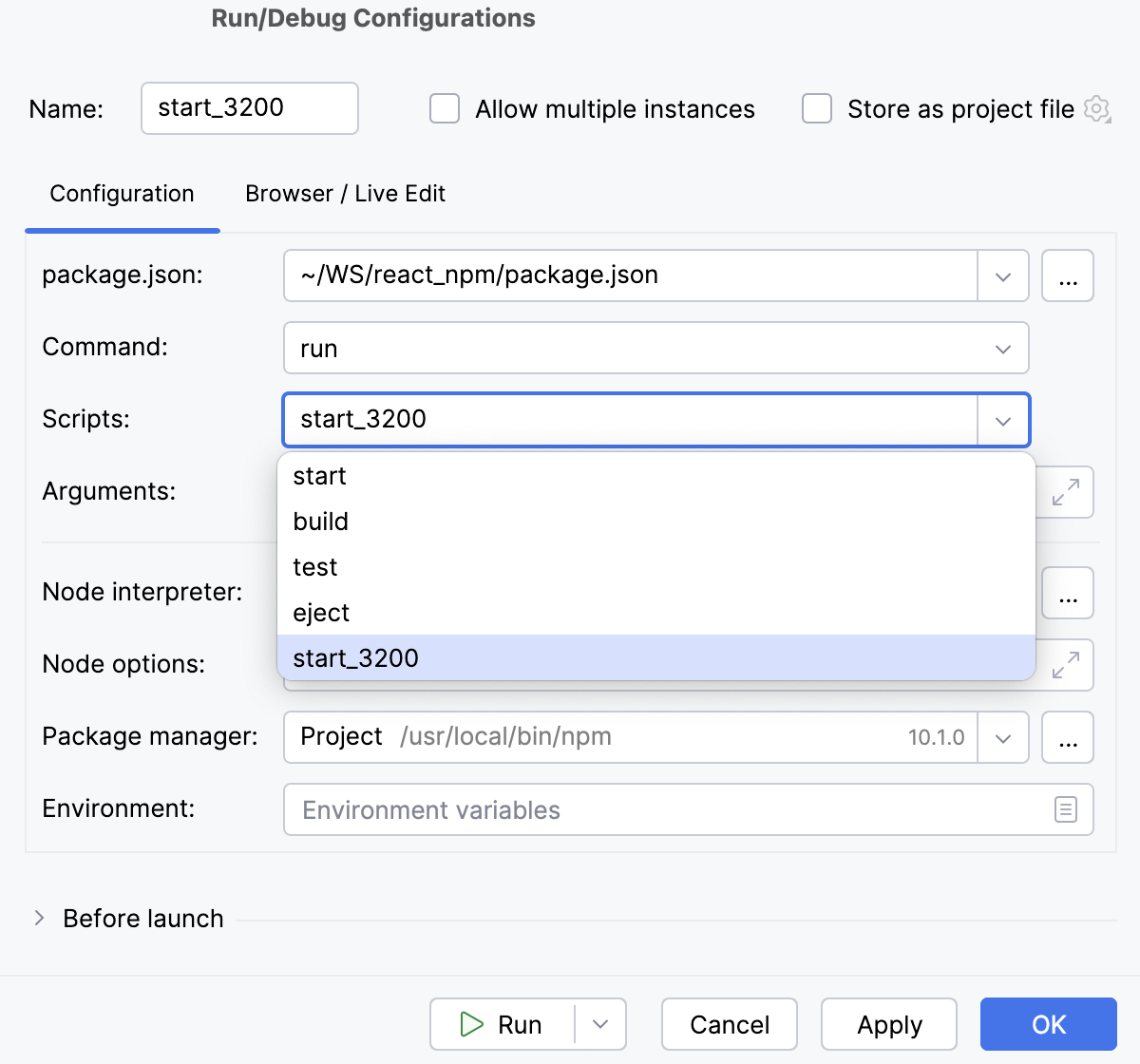 npm run/debug configuration