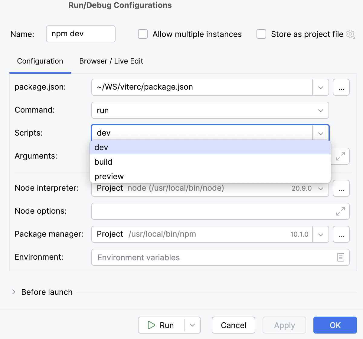 npm run/debug configuration