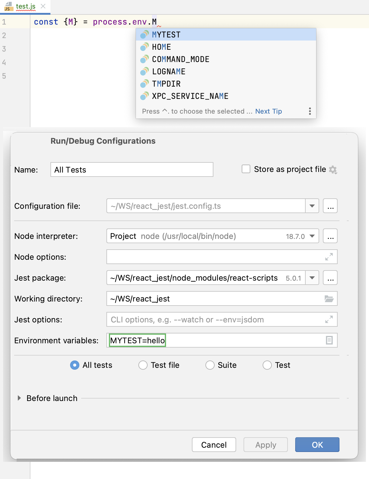 Completion for environment variables from Jest run configuration